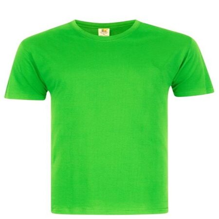 Foursquare T-Shirt 100% Cotton Apple Green