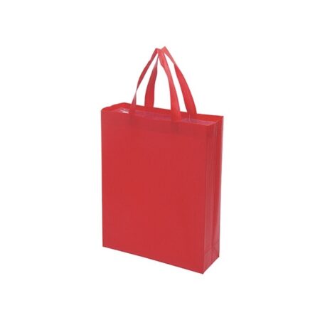 a4 non-woven bag - red