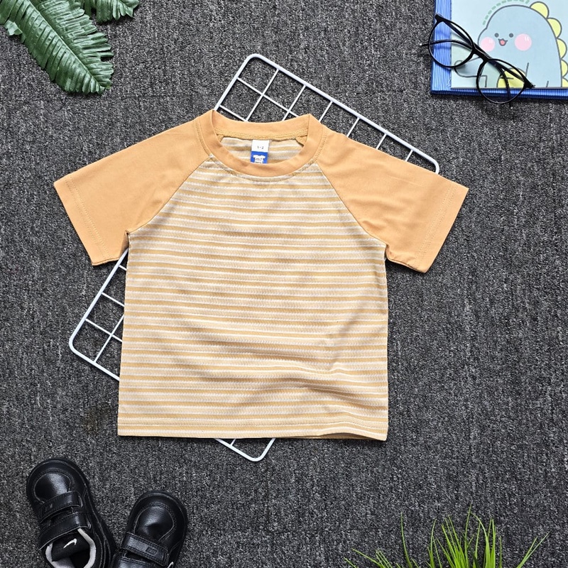 Kids Raglan T-Shirt Stripe:Sand